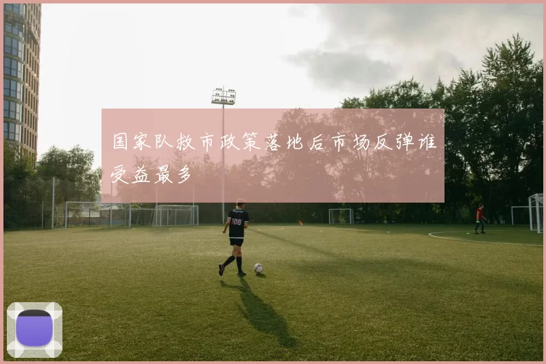 国家队救市政策落地后市场反弹谁受益最多